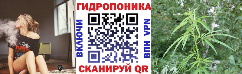 Канабис White Widow Магадан